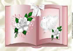 White Dove and White Roses Open Book A4