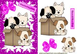 Cute Little Puppies in a Box