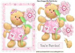 Cute Kitty with Flower in Frame