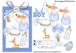 Cute Baby Boy with Stork on a Tag