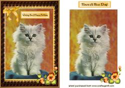 Cute Kitten with Peach Bow in Frame