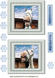Funny Face Horse Toppers
