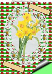 Gorgeous Yellow Daffodil on Lace A4 Topper