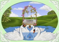 Beautiful White Swans in the Lake in Oval Frame A4