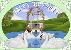 Beautiful Swans for Birthday in the Lake in Oval Frame A4