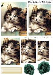 Vintage Kitten with Rose, Pyramids