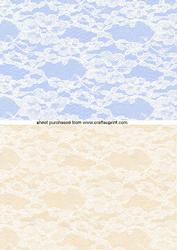 Lovely Lace Background Paper in Pink/blue