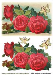 Beautiful Vintage Red Roses with Butterflies