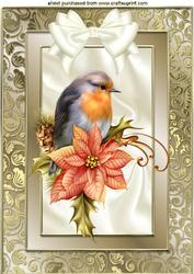 Pretty Robin with Poinsettias A4