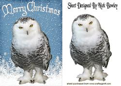 Snowy White Owl in the Snow