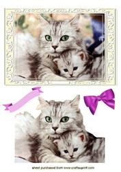 Cute Cat & Kitten