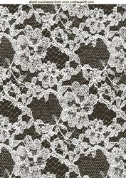 Beautiful Black Lace Background