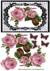 Beautiful Roses in Pretty Black Lace Framer