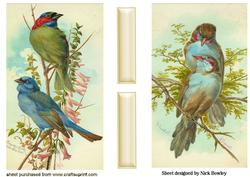 Blue Finches Cards