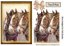 Three Beautiful Horses in Frame