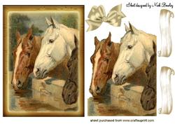 White and Tan Horses Drinking Water