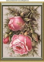 Pink Winter Roses with Brambles in Frame A4