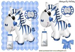 Baby Zebra with a Bottle and Dummy
