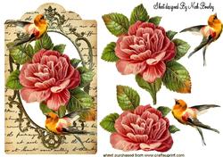 Red Flowers and Birds on Vintage Tag