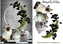 Fluffy Kittens with Pretty Black Flowers