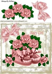 Baby Girl Bootees with Pink Roses in Floral Frame 8x8