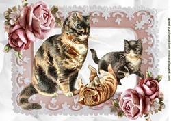 Playful Kittens with Mum in Frame of Roses A4
