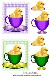 Little Chicks in Teacups in Gingham Toppers