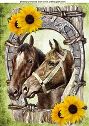 Horses in Horse Shoe with Sunflowers A4