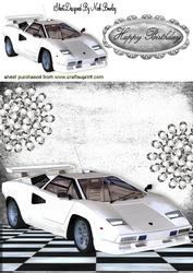 White Ferrari with Diamonds 8x8