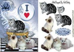 I Just Love Fur Babies, Lovely Cats & Kittens