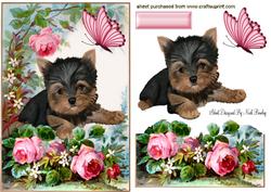 Cute Yorkshire Terrier with Rose in the Garden