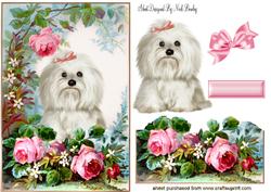 Cute Westie with Rose in the Garden