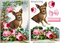 Cute Little Chihuahua with Roses in the Garden