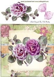 Pink Wild Roses in Flower Frame & Butterflies 8x8