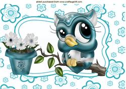 Cute Owl in Turq on a Branch in Floral Frame A4