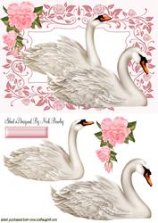 Beautiful White Swans in Floral Frame