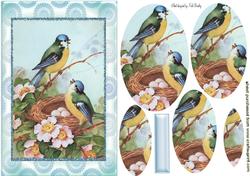 Pretty Blue Birds in Nest Oval Pyramids