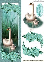 Baby Cygnet with Mum & Flowers Tall Dl