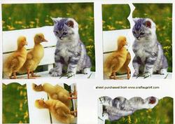 Painting of a Cute Little Kitten and Ducklings, Wavy Stacker