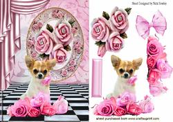Cute Chihuahua with Pink Roses