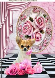 Cute Chihuahua with Pink Roses A4