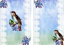 Vintage Bird on Lace in Blue A5 Insert