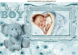 Baby Boy with Cute Ele & Daisies in Frame A4