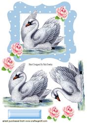 Pretty Vintage Swan in Polkadot Frame with Roses
