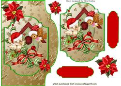 Lovely Robins in Bird House, Card with Topper