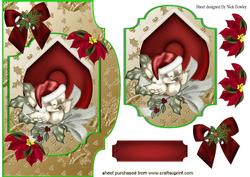 Cute Robin in Bird House Card Front, & Topper