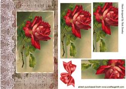 Red Rose on Music with Bow Pyramids