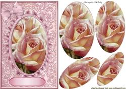Pink Roses Oval Pyramids in Lace Frame