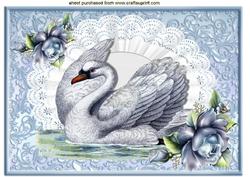 Vintage Swan on Lace with Blue Roses A4