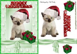 Cute Kitty in Santa Hat with Pressies